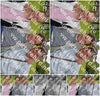 Evenement foto: Serie 220
