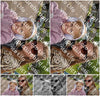Evenement foto: Serie 220