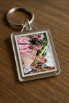 Evenement foto: Serie 220