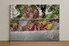 Evenement foto: Serie 220
