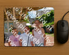 Evenement foto: Serie 344