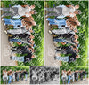 Evenement foto: Serie 344