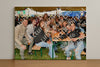 Evenement foto: Serie 345