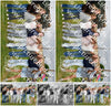 Evenement foto: Serie 345