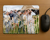 Evenement foto: Serie 345