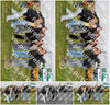 Evenement foto: Serie 345
