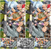 Evenement foto: Serie 346