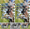 Evenement foto: Serie 346