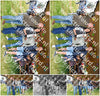 Evenement foto: Serie 347