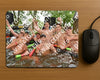Evenement foto: Serie 218