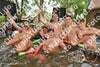 Evenement foto: Serie 218