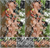 Evenement foto: Serie 218