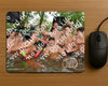 Evenement foto: Serie 218