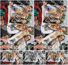 Evenement foto: Serie 218
