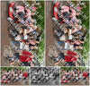Evenement foto: Serie 218