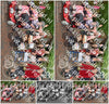 Evenement foto: Serie 218