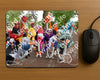 Evenement foto: Serie 218