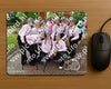 Evenement foto: Serie 218