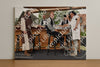 Evenement foto: Serie 218