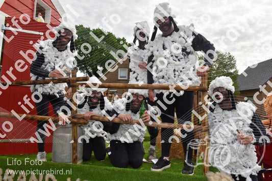 Evenement foto: Serie 218