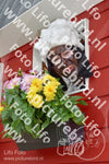 Evenement foto: Serie 218
