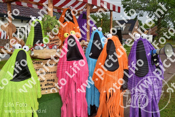 Evenement foto: Serie 218