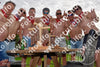 Evenement foto: Serie 218
