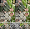 Evenement foto: Serie 218