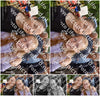 Evenement foto: Serie 218