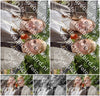 Evenement foto: Serie 218
