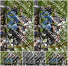Evenement foto: Serie 218