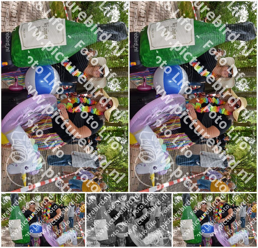 Evenement foto: Serie 219