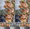 Evenement foto: Serie 219