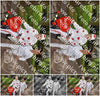 Evenement foto: Serie 219