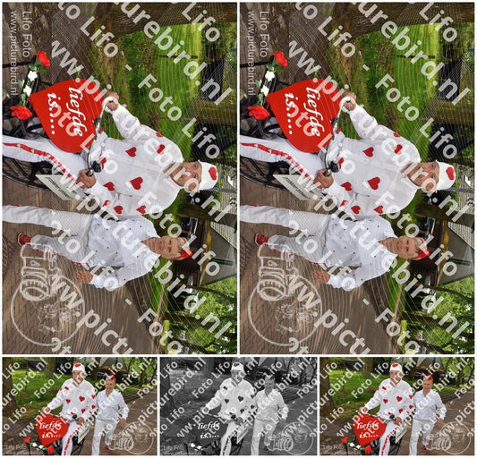 Evenement foto: Serie 219
