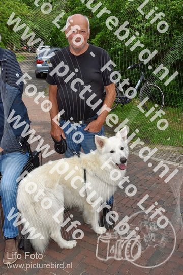 Evenement foto: Serie 219