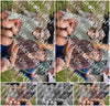 Evenement foto: Serie 219