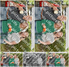 Evenement foto: Serie 219