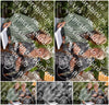Evenement foto: Serie 219