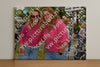 Evenement foto: Serie 219