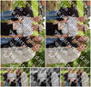 Evenement foto: Serie 219