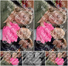 Evenement foto: Serie 219
