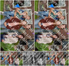 Evenement foto: Serie 219