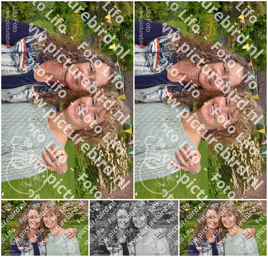 Evenement foto: Serie 219