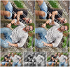 Evenement foto: Serie 219