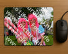 Evenement foto: Serie 348