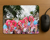 Evenement foto: Serie 348