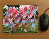 Evenement foto: Serie 348