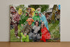 Evenement foto: Serie 348