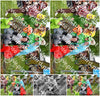 Evenement foto: Serie 348